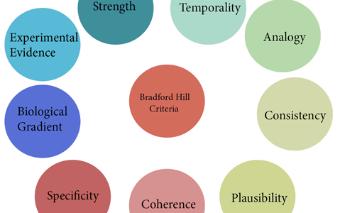 Bradford Hill Criteria