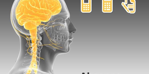 Bradford Factor When Pregnant