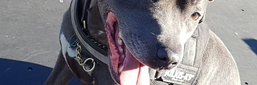 How Far Is Staffordshire From Bradford