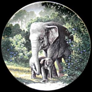 What Are Bradford Exchange Plates Worth