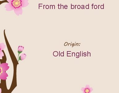 What Is The Meaning Of “bradford”