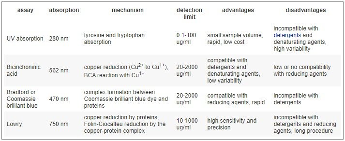 Why Is Bradford Assay More Sensitive