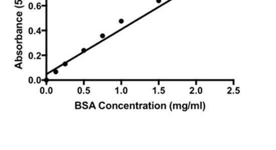 Why Is Bsa Used In Bradford Assay