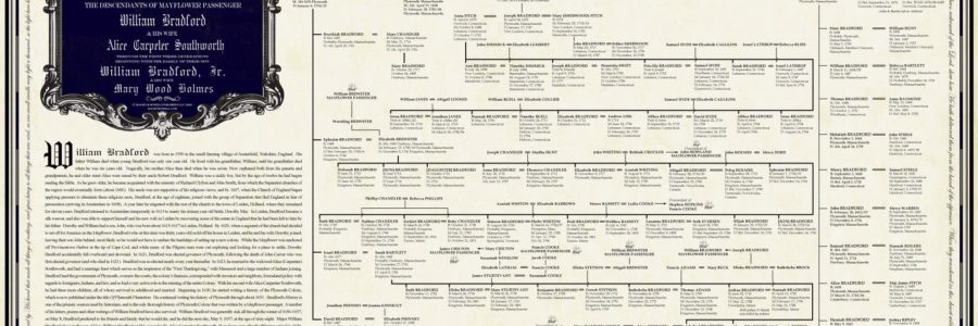 How Many Living Descendants Of William Bradford
