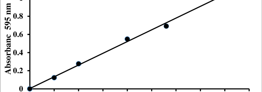 How To Calculate Protein Concentration From Bradford Assay