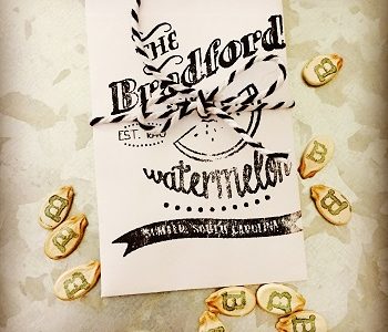 Where To Get Bradford Watermelon Seeds